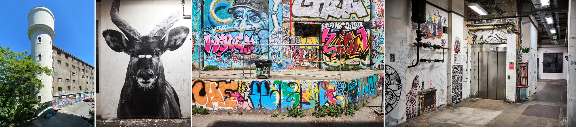 studio photo paris 13 bnf exterieur photo photographie studio photo fridge architecture graffitis street art stairs frigos